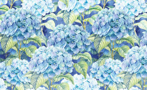 Light Blue Hydrangea Illustration Wallpaper