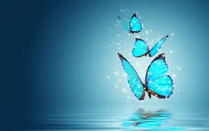 Light Blue Night Butterfly Wallpaper