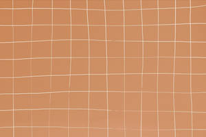 Light Brown Distorted Grid Wallpaper