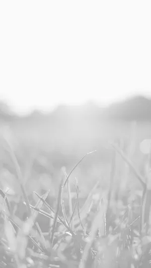 Light Gray Iphone - Modern Design Wallpaper