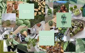 Light Green Aesthetic Food And Nature Wallpaper
