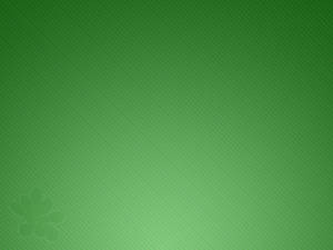 Light Green Lined Wallpaper