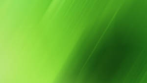 Light Green Plain Diagonal Abstract Wallpaper