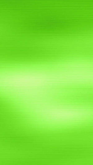 Light Green To Lighter Wallpaper