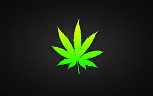 Light Green Weed Leaf Wallpaper