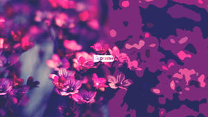 Lilacs Supreme Laptop Wallpaper