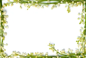 Lilyofthe Valley Floral Border Wallpaper