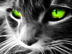 Lime Green Cat Eyes Wallpaper