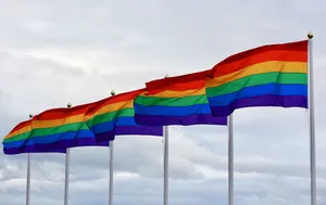 Lined Up Lgbt Flags Wallpaper
