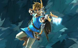 Link Hd Wallpaper And Background Image Wallpaper