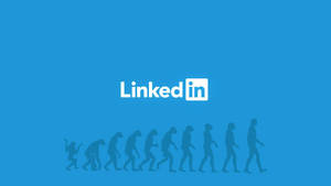 Linkedin Evolution Of Man Wallpaper