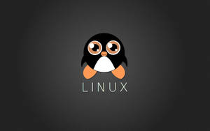 Linux Cute Cartoon Penguin Wallpaper