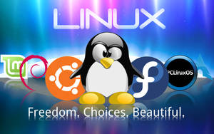 Linux Os Freedom Choices Beautiful Wallpaper