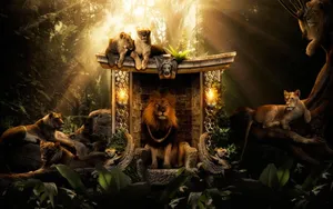 Lion King Wallpaper