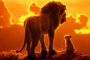 Lion King Scene Wallpaper