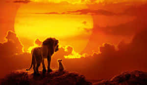 Lion King Sunset Silhouette Wallpaper