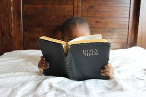 Little Boy Reading Holy Bible Wallpaper