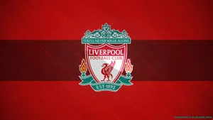 Liverpool Fc In Red Stripes Wallpaper