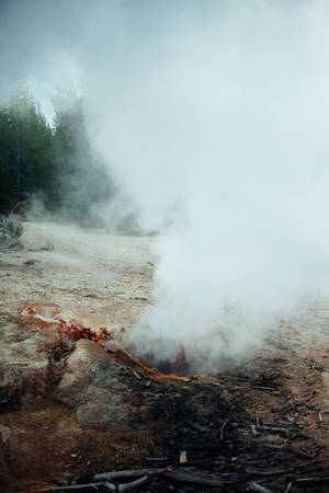 Lo Fi Picture Wallpaper