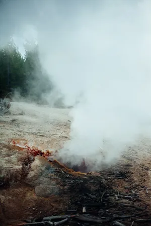 Lo Fi Picture Wallpaper