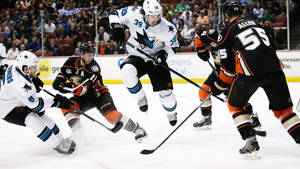 Logan Couture Ice Hockey Anaheim Ducks Match Wallpaper