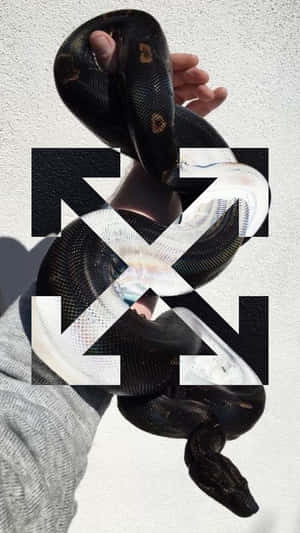 Logo And Snake Off White Iphone Wallpaper