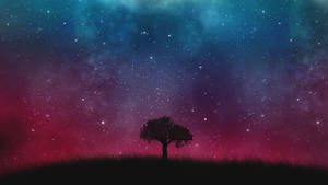 Lone Tree In A Starry Night Wallpaper