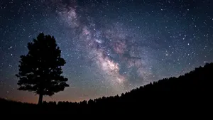 Lone Tree Under The Galaxy Hd Wallpaper