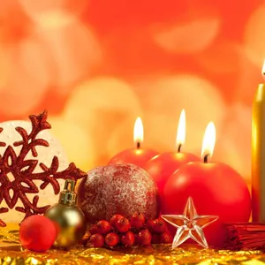 Look What Santa Left Under The Christmas Tree! Wallpaper