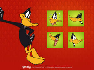 Looney Tunes Vintage Cartoon Daffy Duck Wallpaper
