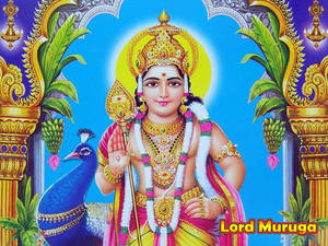 Lord Murugan 4k Golden Arc With Peacock Wallpaper