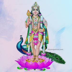 Lord Murugan With Blue Peacock Wallpaper