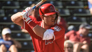 Los Angeles Angels Mike Trout Holding Bat Wallpaper