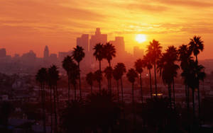 Los Angeles City Downtown Sunset Wallpaper