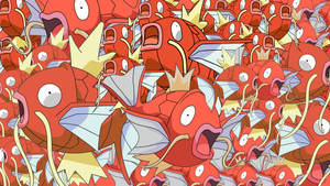 Lots Of Funny Magikarp Wallpaper