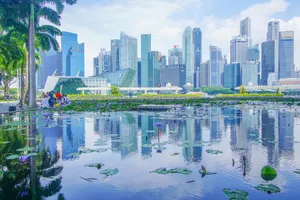 Lotus Pond In Singapore Wallpaper