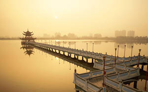 Lotus Pond Lake In Taiwan Wallpaper