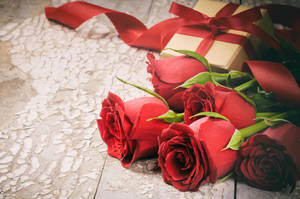 Love Rose Gift Wallpaper