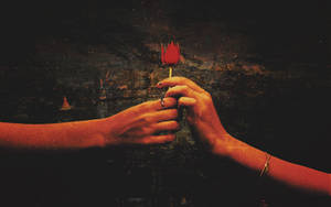 Love Rose Hands Wallpaper