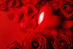 Love Rose Heart Among Petals Wallpaper