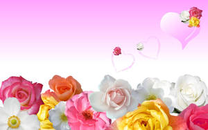 Love Rose Pink Wallpaper