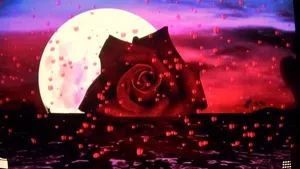 Love Rose Wallpaper Wallpaper