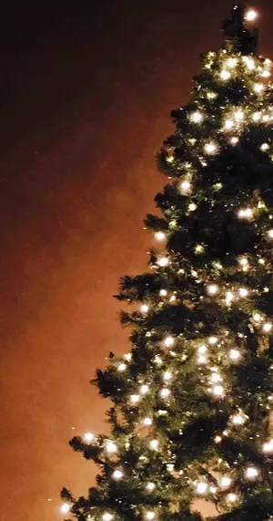 Lovely And Aesthetic Christmas Iphone Wallpaper