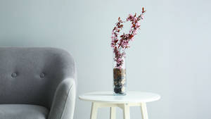 Lovely Houseplant Furniture Wallpaper