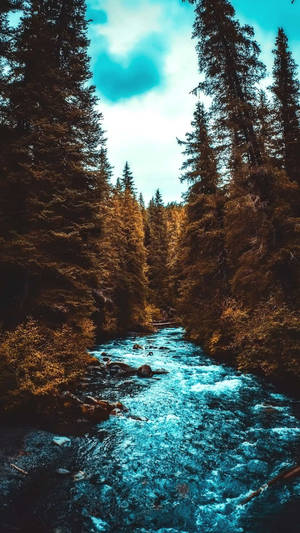 Lovely Stream And Autumn Forest Iphone Wallpaper