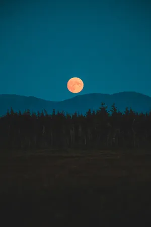 Luna Supermoon Bright Night Sky Wallpaper