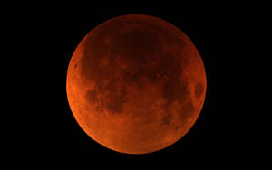 Lunar Eclipse Black Background Wallpaper