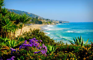 Lush Greenery On Malibu Beach Wallpaper