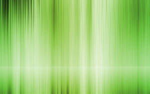 Lustering Light Green Plain Wallpaper