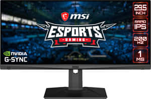 M S I Esports Gaming Monitor Features Wallpaper